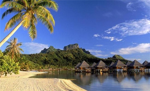 客家鱻五谷鱼粉