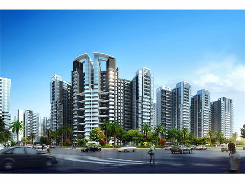 澳美徕澳门花胶鸡