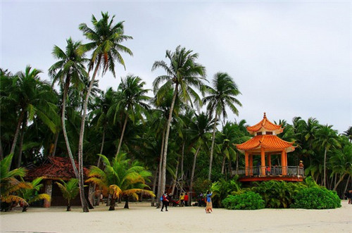 墨客知鱼纸包鱼