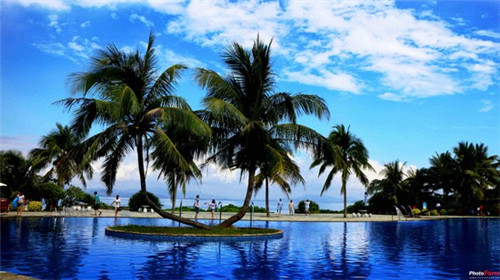 小丸子食品店铺，小丸子怎么加盟费