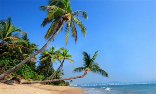 点读机加盟创业选择什么项目还能做