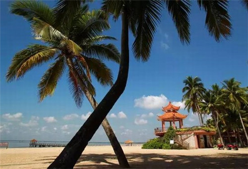 拉丁文取名寓意是什么（拉丁文寓意好的名字）