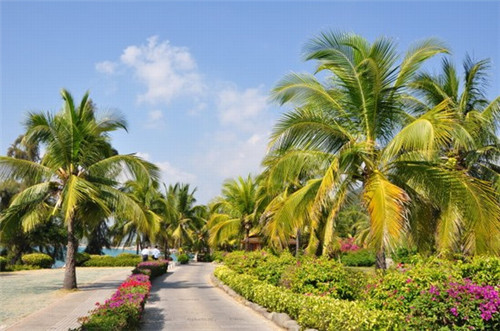 世界十大文豪可信吗（世界十大文豪有谁）