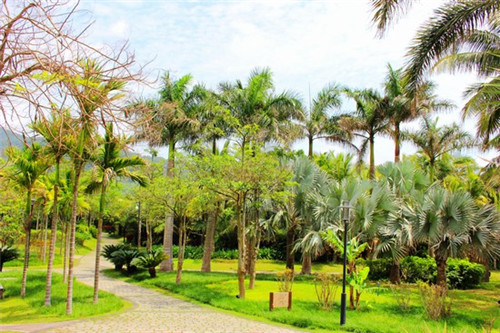 成都服装加盟店推荐（成都服装加盟品牌）