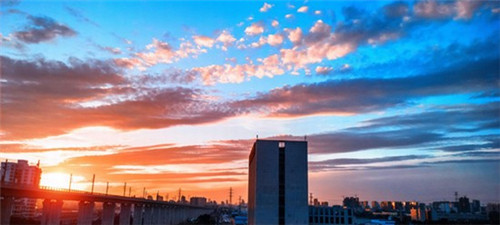 牛肉炒丝瓜苗怎么炒（牛肉炒丝瓜苗怎么炒的）