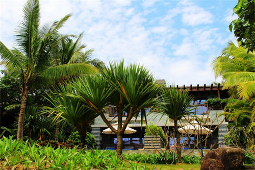 五公里内玩抖音的人多吗（五公里解决烦恼抖音）